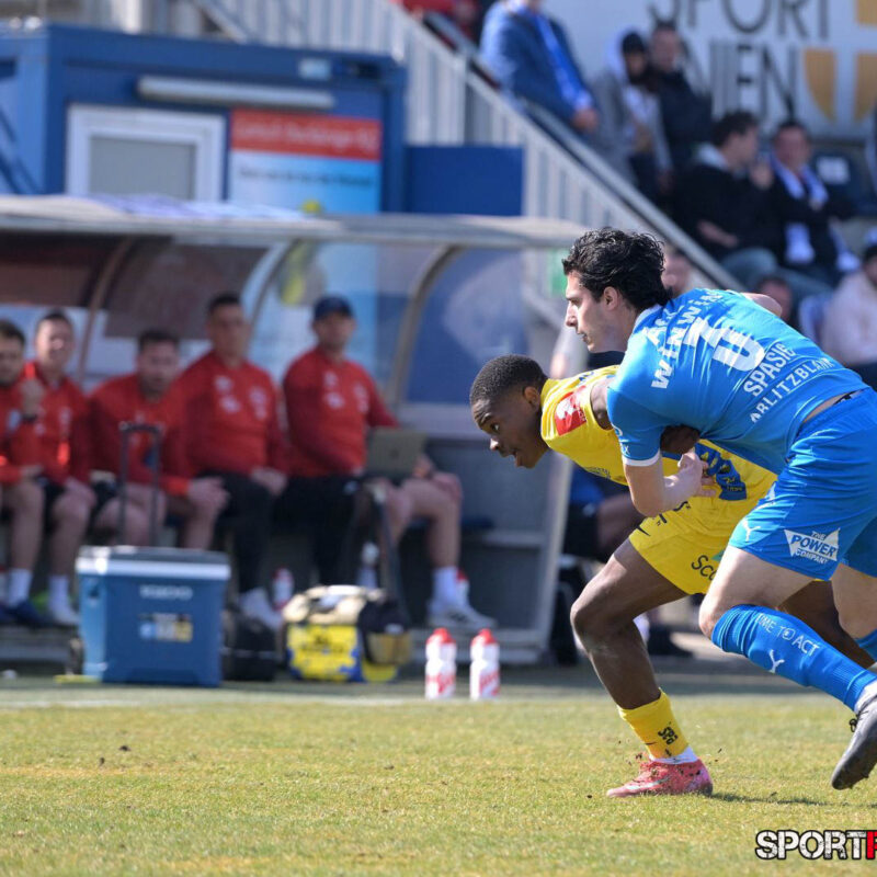 FAC – First Vienna