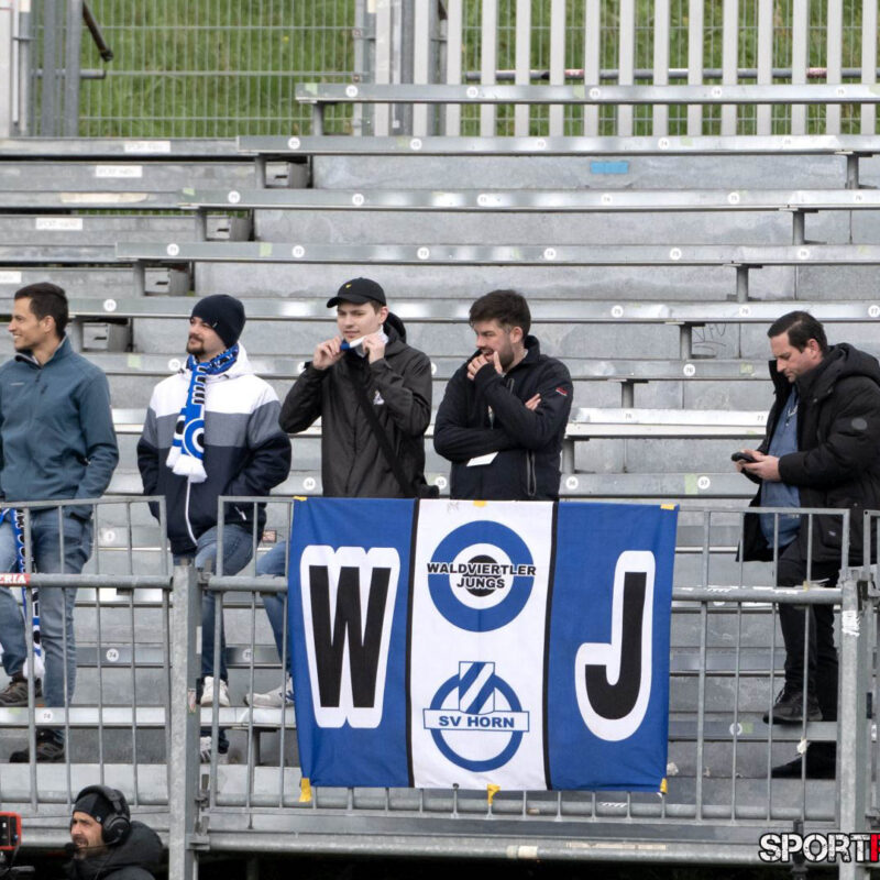 First Vienna – SV Horn