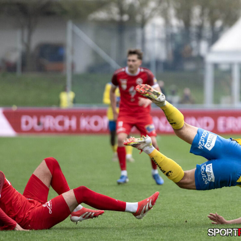 First Vienna – SV Horn