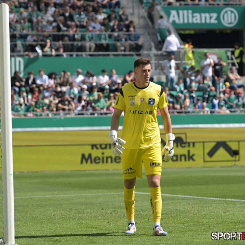 Rapid Wien – Blau Weiss Linz