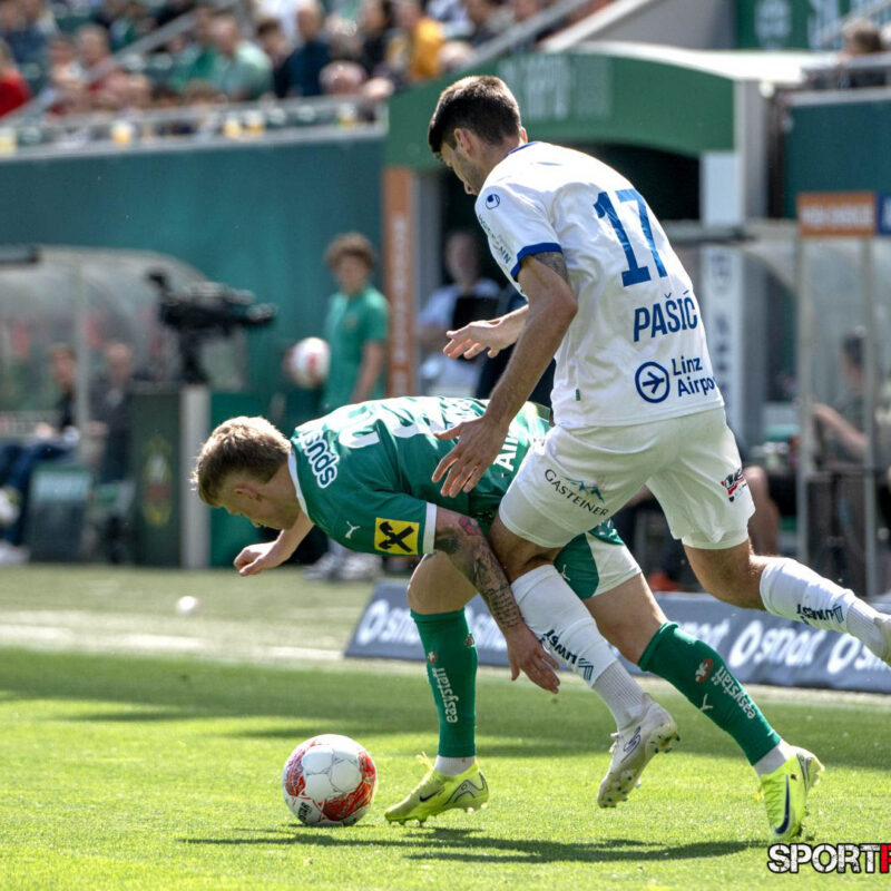 Rapid Wien – Blau Weiss Linz