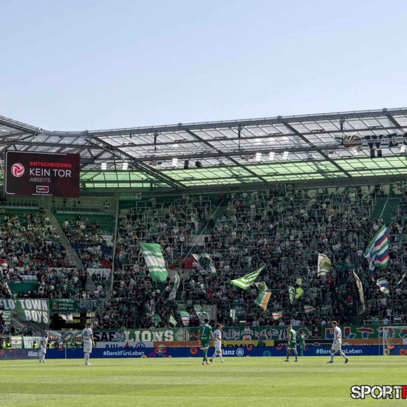 Rapid Wien – Blau Weiss Linz