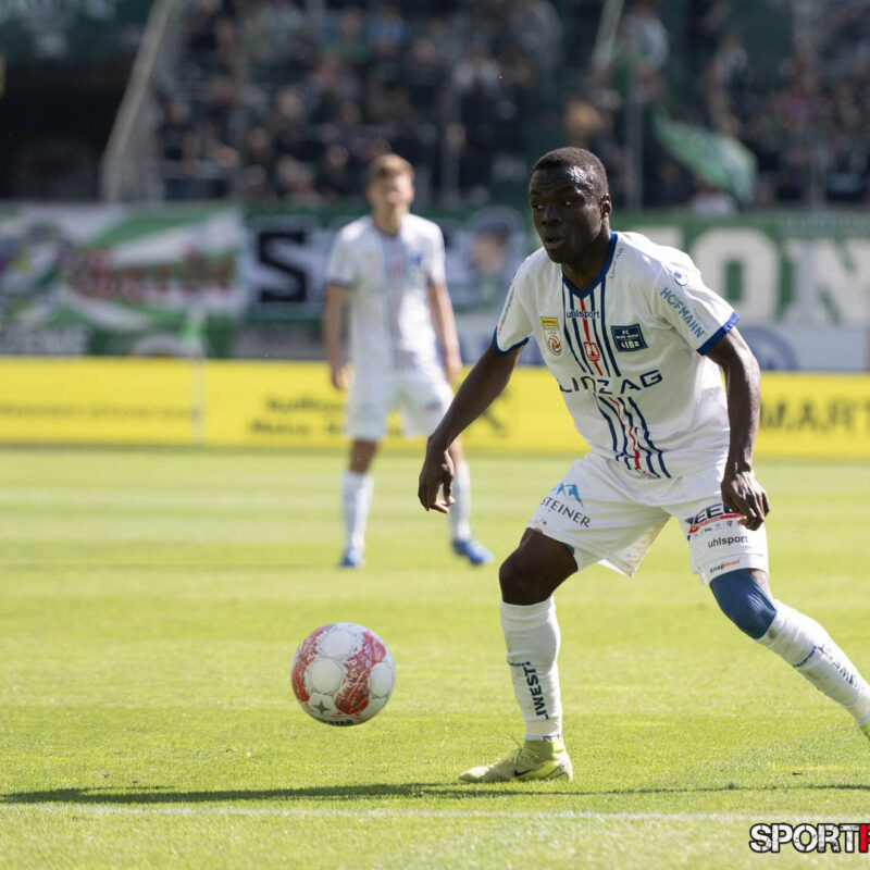 Rapid Wien – Blau Weiss Linz