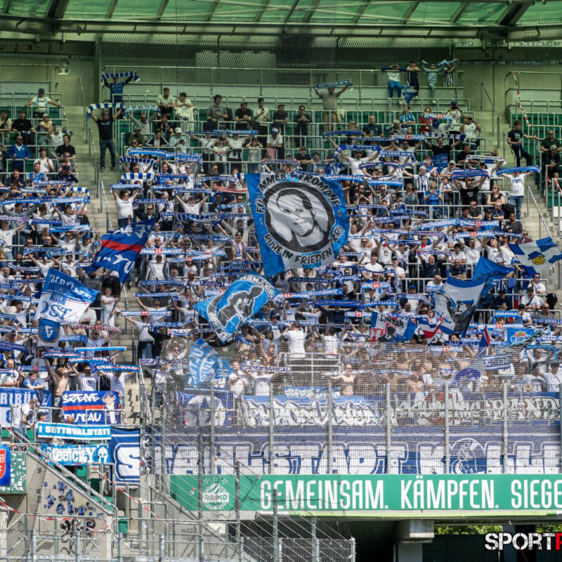 Rapid Wien – Blau Weiss Linz
