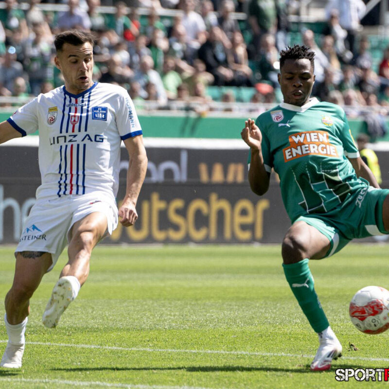 Rapid Wien – Blau Weiss Linz