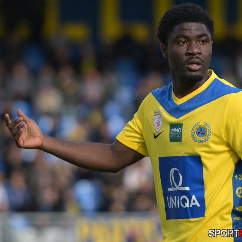 First Vienna – SKU Amstetten