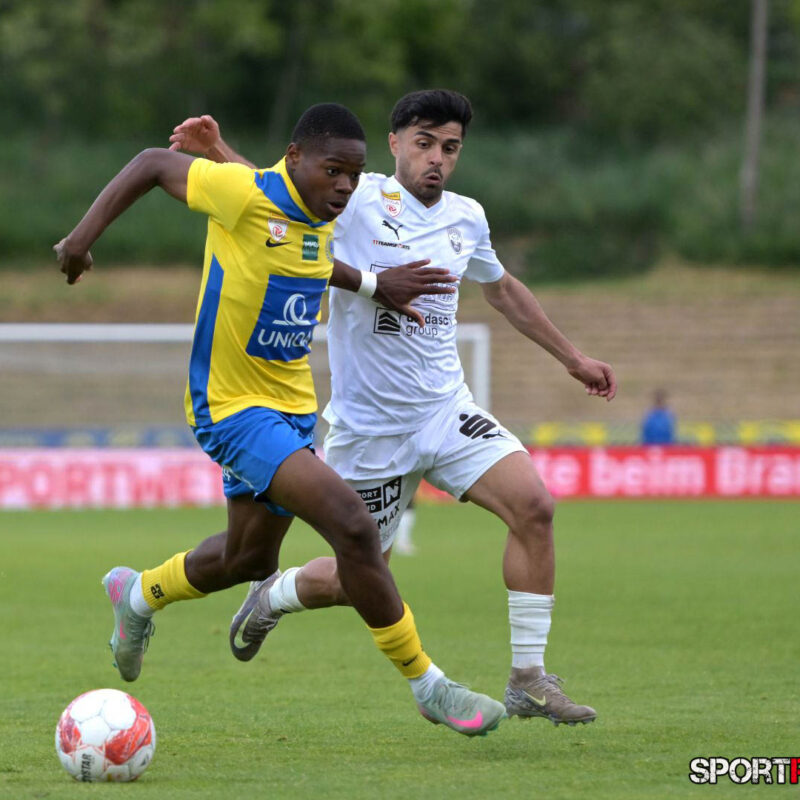 First Vienna – SKU Amstetten