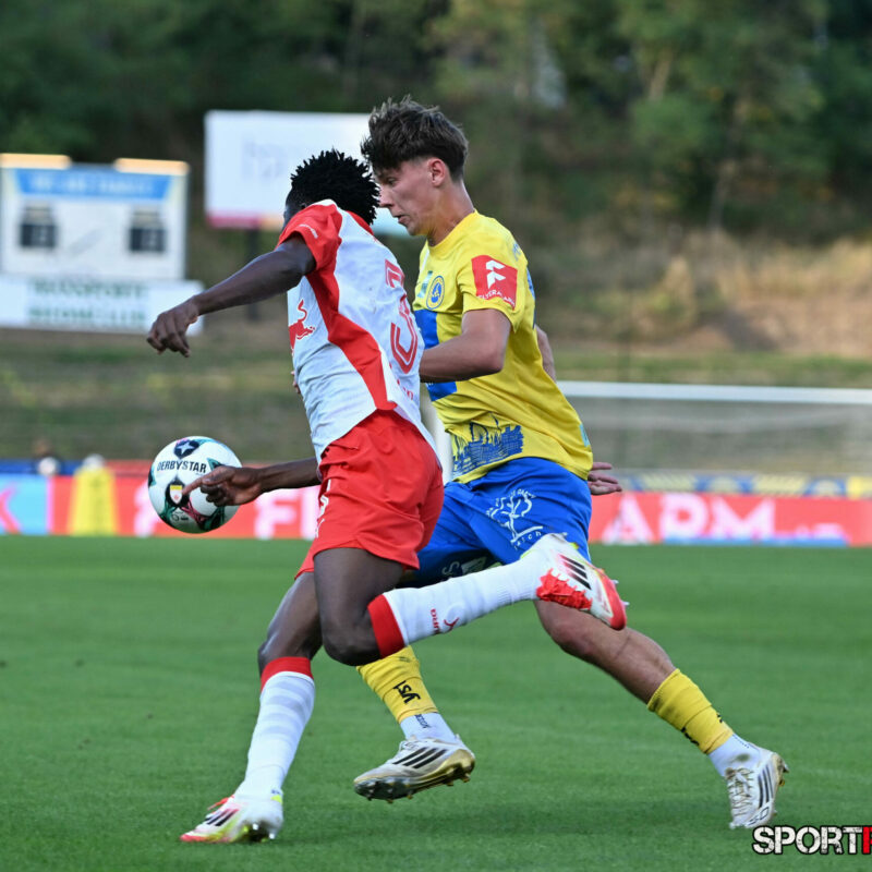 First Vienna 1894 – FC Liefering