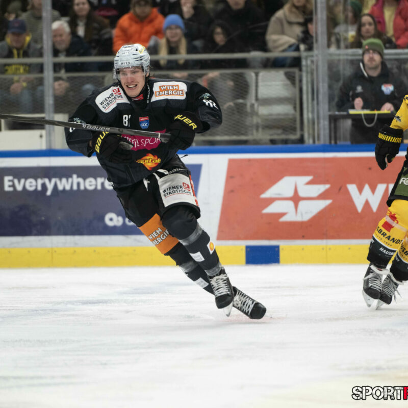 Vienna Capitals – HC Pustertal