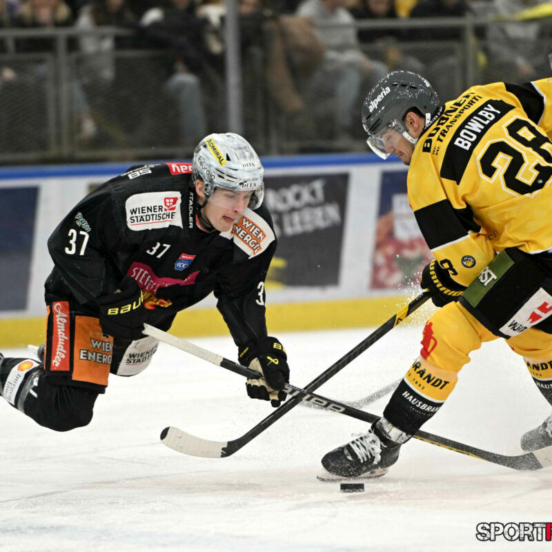 Vienna Capitals – HC Pustertal