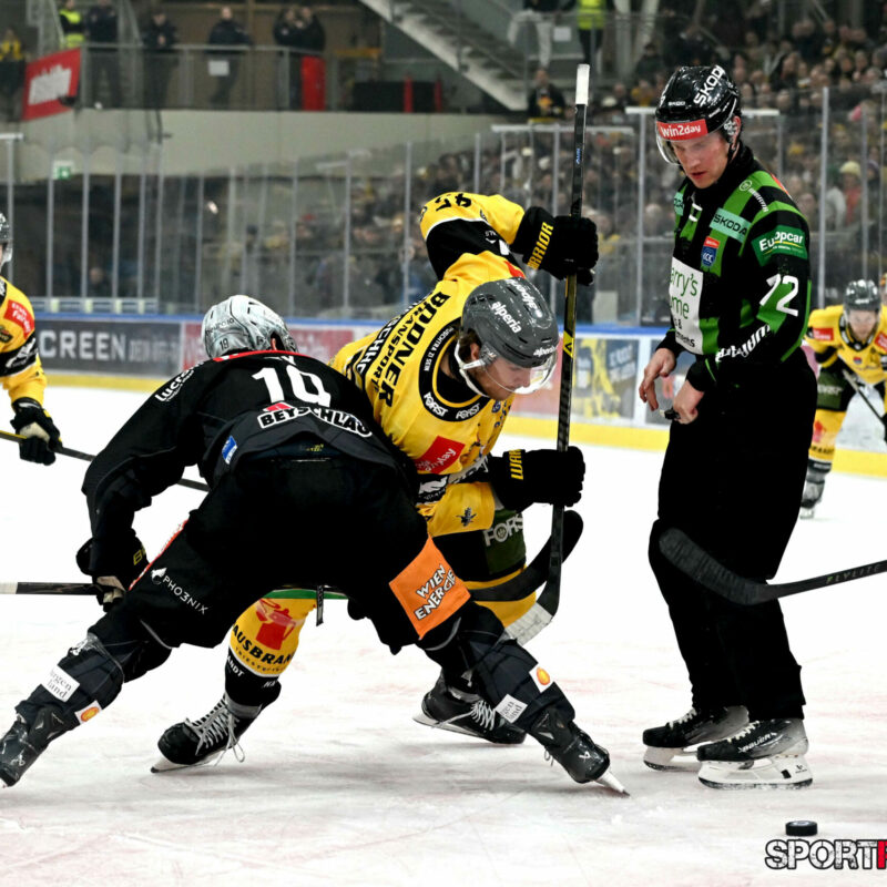 Vienna Capitals – HC Pustertal