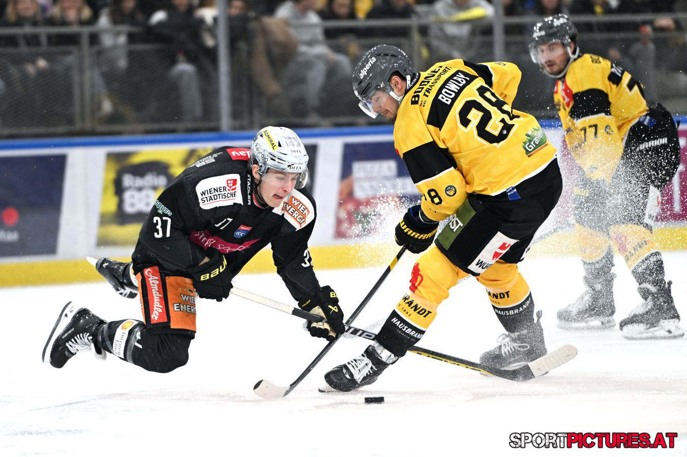 Vienna Capitals – HC Pustertal