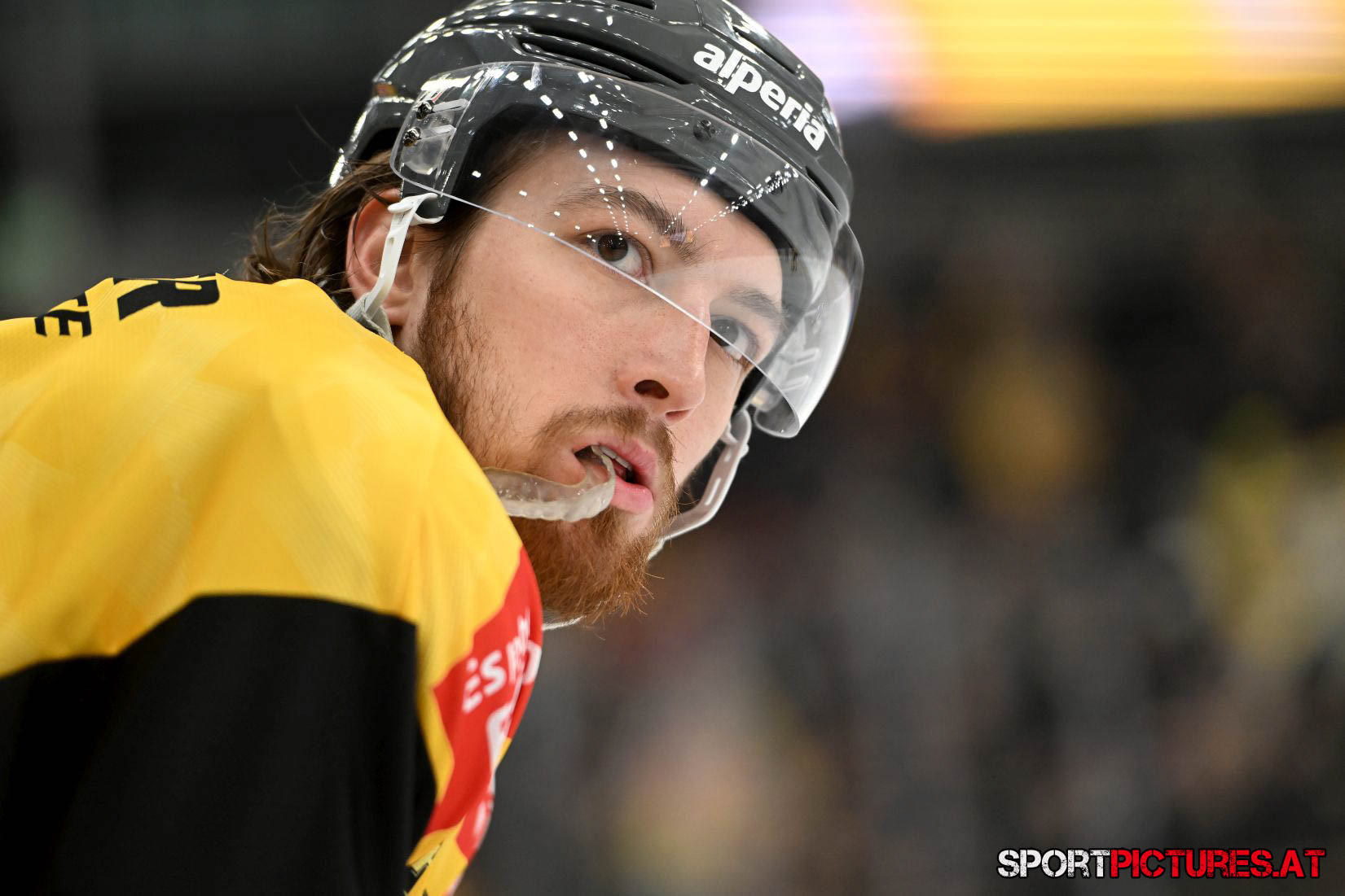 Vienna Capitals – HC Pustertal