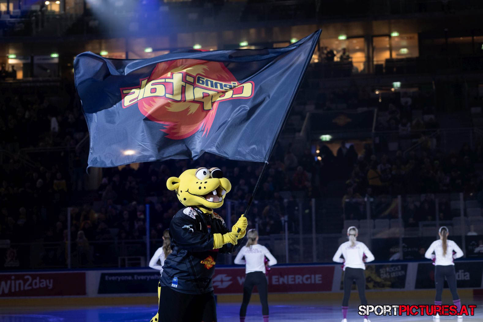 Vienna Capitals – HCB Südtirol