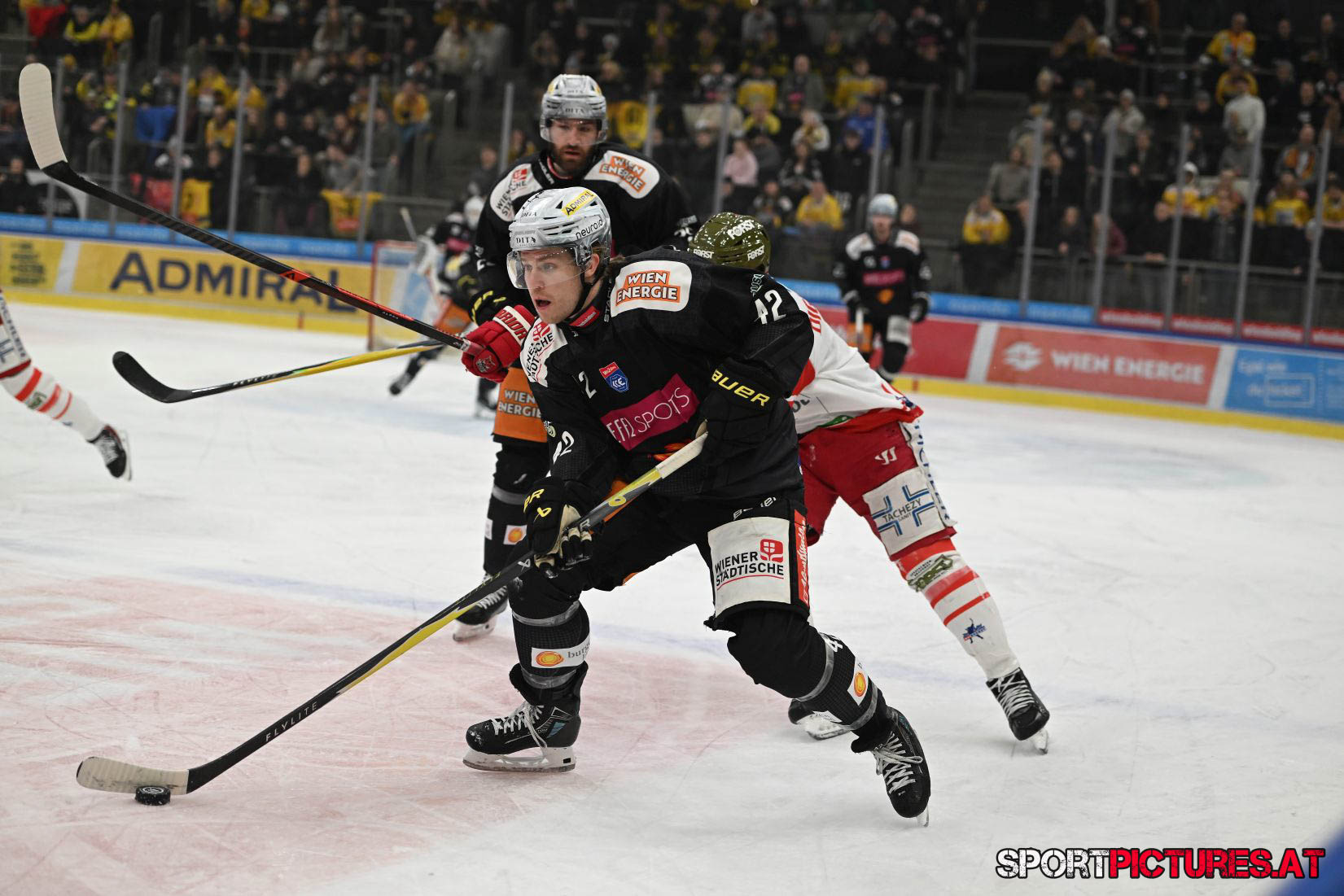 Vienna Capitals – HCB Südtirol