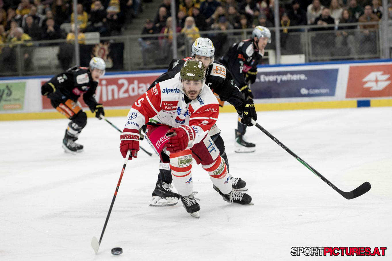 Vienna Capitals – HCB Südtirol