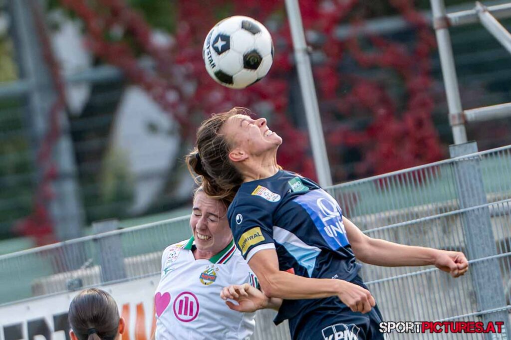 DSC_5565 Kopie